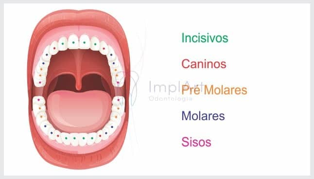 denticao 37kb